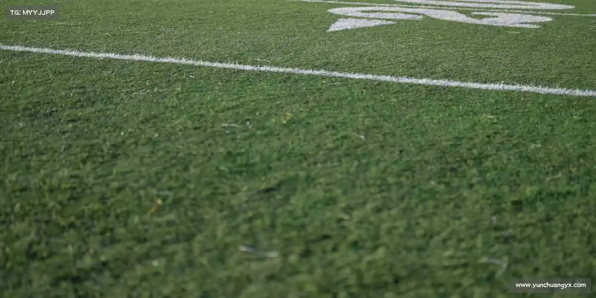 我们的核心竞争力